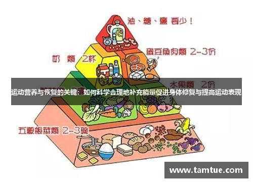 运动营养与恢复的关键：如何科学合理地补充能量促进身体修复与提高运动表现