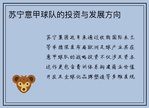 苏宁意甲球队的投资与发展方向